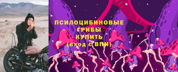 скорость Алексин