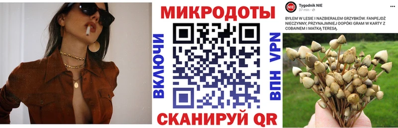 Псилоцибиновые грибы Magic Shrooms  купить наркотики цена  Жиздра 