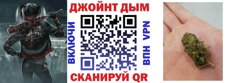 как найти   Жиздра  Конопля марихуана 